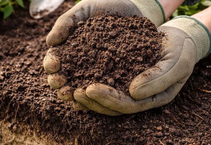 Rodzaje gleb ogrodowych w Polsce – jak rozpoznać typ gleby i co z tego wynika w praktyce